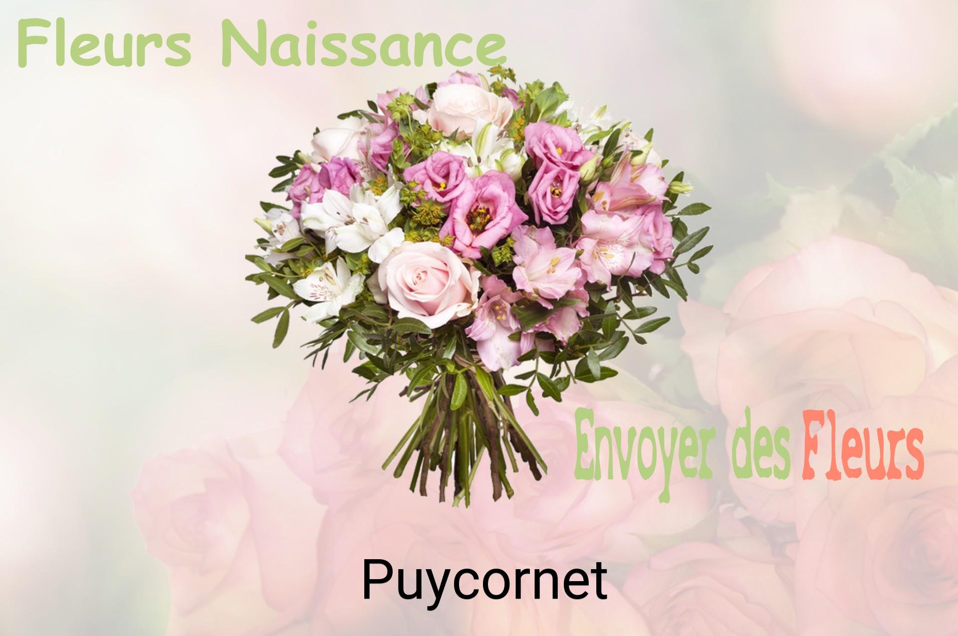 Bouquet de fleurs de naissance livré à Puycornet