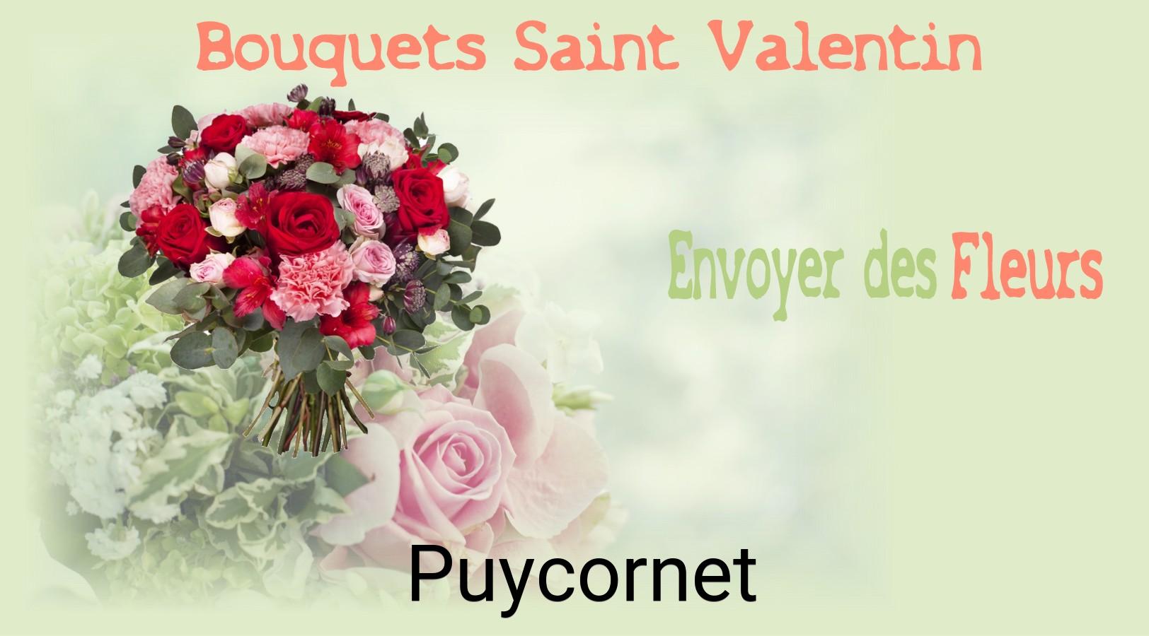 Roses de Saint-Valentin livrées à Puycornet