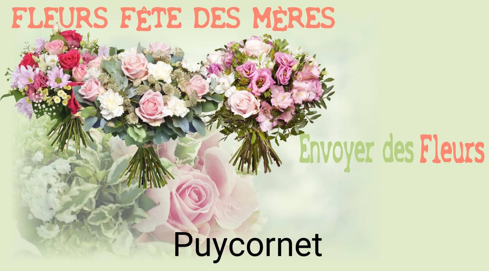 Bouquet de Fête des Mères livré à Puycornet